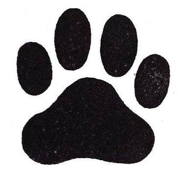 dog paw drawing