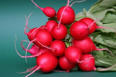 radish