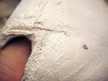 How to Harden a Plaster of Paris Cast