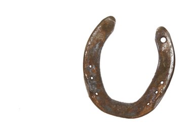 Lucky Horseshoe Craft Ideas - Recycled Home Decor 