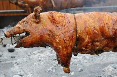 Roast pig