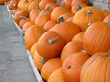 pumpkins