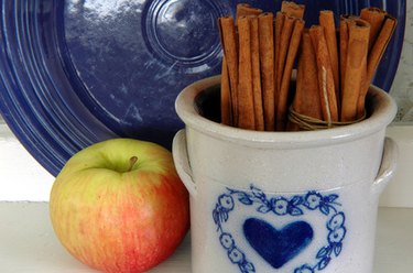 How to Make Cinnamon-Scented Pinecones (Two Easy Tutorials)