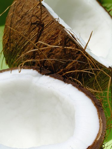 How to Make Cups From Coconut Shells