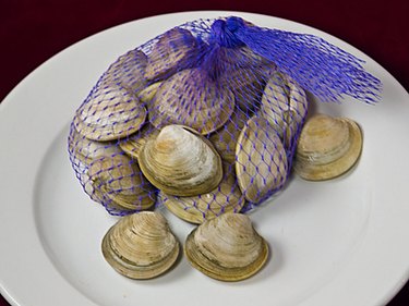 How to Tell If Clams Are Fresh ehow