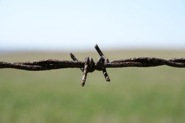 Rusty barbed wire macro. Shallow depth of field.