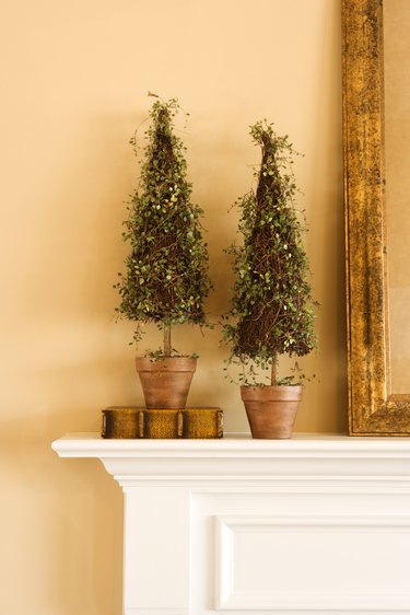 Fireplace mantel with two plants