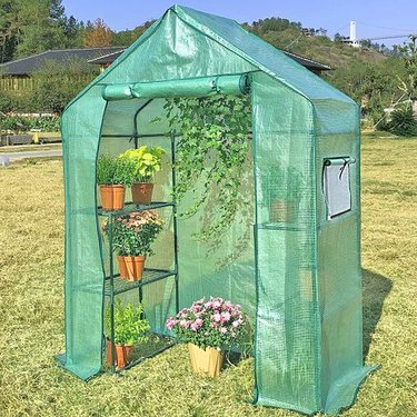 Green mesh greenhouse that you can walk into with plant shelves on either side.