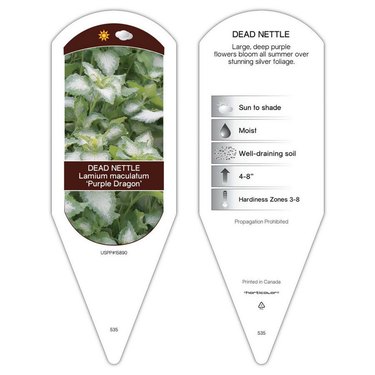 Plant care tags
