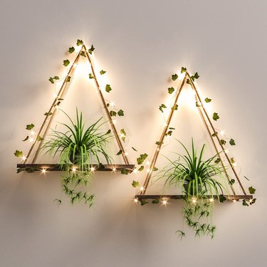 Two triangle-shaped LED shelves with ivy and plants