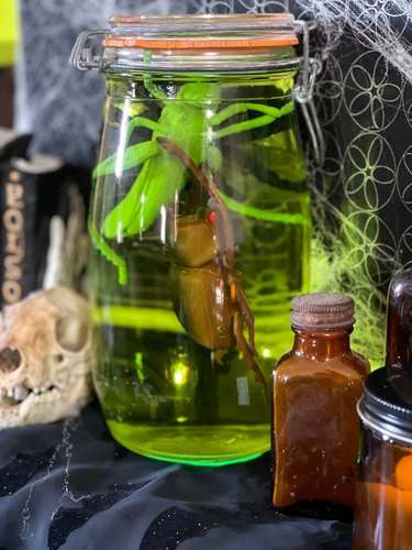 add plastic bugs to specimen jars