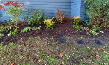 Bare flower bed after weeding