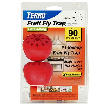 Aunt Fannie'S Flypunch Fruit Fly Trap (2 Pack): for Indoor and