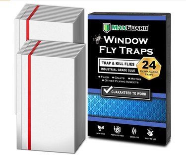 MaxGuard Window Fly Traps (24 XL Traps)