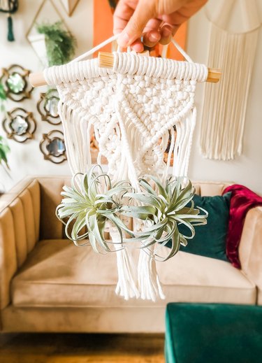 A closeup of Casey holding two white mini macrame plant holders