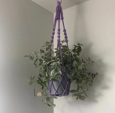The macrame plant hanger handles 10-inch pots and comes in 28 color choices.