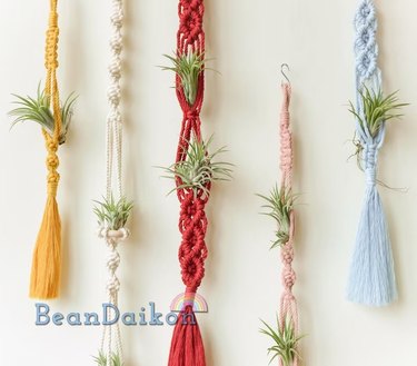 This macrame plant hanger is specially for air plants and comes in 25 color choices and choices in one to three tiers.