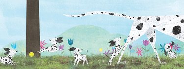 An illustration of dalmation dogs playing in the grass