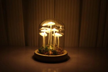 A glass container lamp filled with moss and several illuminated white mushrooms.
