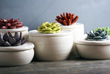Five white ceramic bowls with lids featuring ceramic succulents
