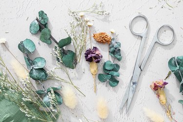 Dried flowers and stems