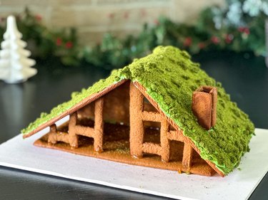 finished edible moss roof
