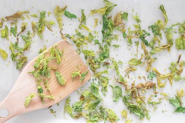 Dried celery leaves on a baking sheet