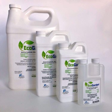 EcoGarden broad spectrum botanical insecticide works on killing a large variety of pests.