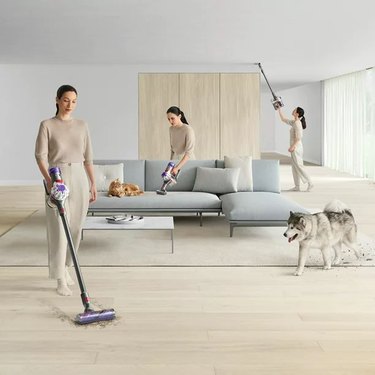 Dyson V8 cordless vacuum shown doing 3 different tasks in a home with pets.