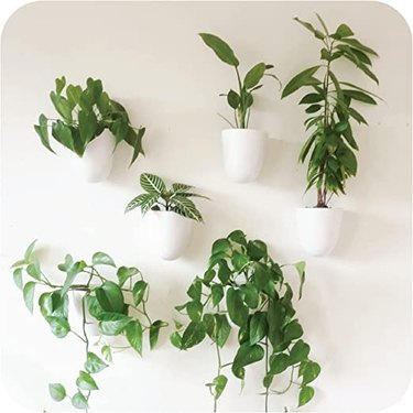 This set of six self-watering wall planter pots won't require frequent watering and go with any decor.