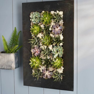 This living wall art pocket planter is available in four, 12 or 18 pockets and creates a beautiful wall art filled with succulents.