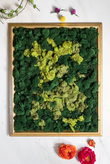 Gold frame with green moss