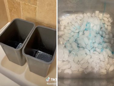 Two trash cans and ice cubes with dish soap in a sink