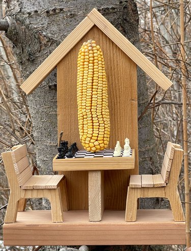 add corn cob to feeder