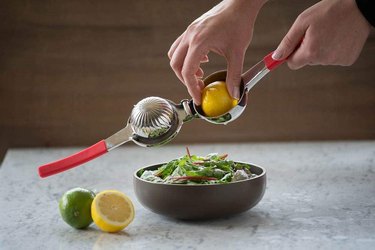 stainless steel citrus juicer