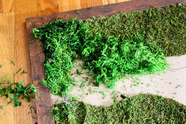 second layer of moss