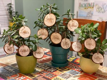 Three jade trees adorned with wooden ornaments, each with a name engraved