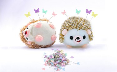 Coenii Hedgehog Pincushion