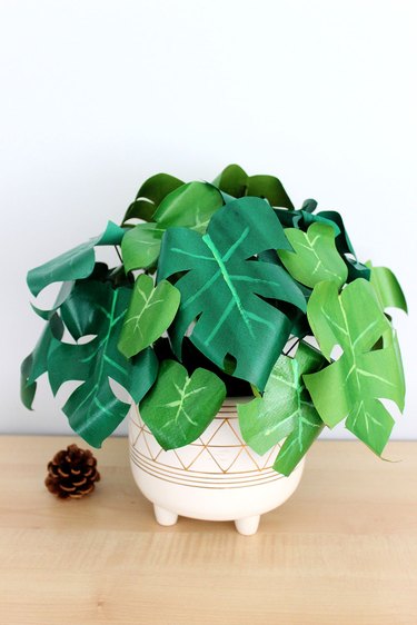 paper plant