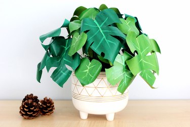DIY paper plant