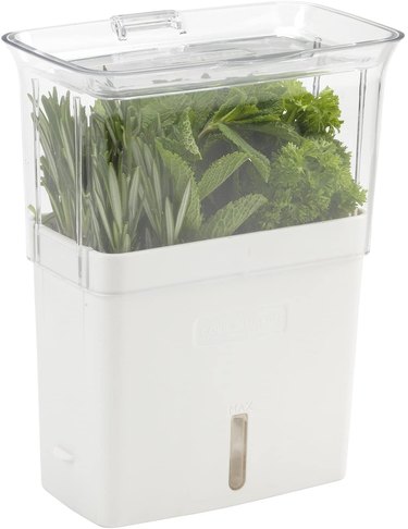 Several types of herbs inside a container with a clear lid