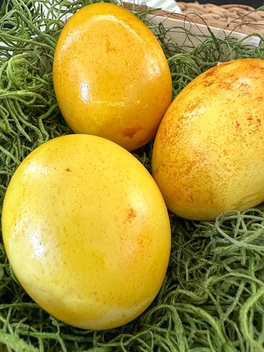 Hard-boiled eggs dyed with turmeric