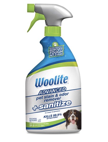 22-ounce spray bottle of Woolite Advanced Pet Stain & Odor Remover