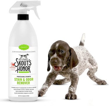 Puppy standing next to a bottle of Skout's Honor Professional Strength Stain & Odor Remover