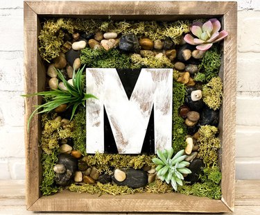 Moss Wall Kit