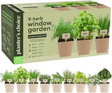 Grow herbs inside on a sunny windowsill.