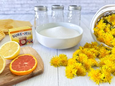 materials needed for dandelion jelly
