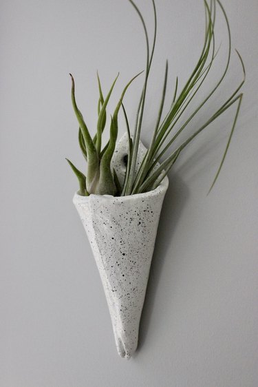 DIY air-dry clay plant pot on wall