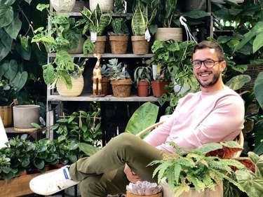 10 Houseplant Instagram Accounts We're Obsessed With