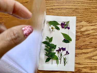 Green stems and purple and white flowers set on white card stock